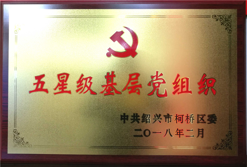 五星级基层党组织 - 副本.jpg